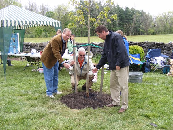 Commisionsers planting a tree