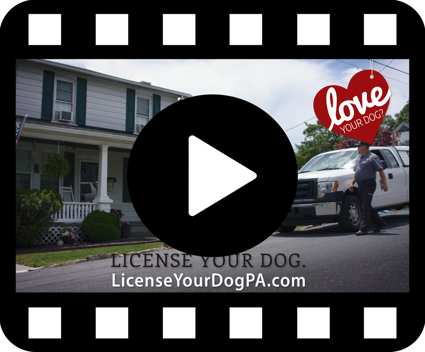 Dog License Video Link