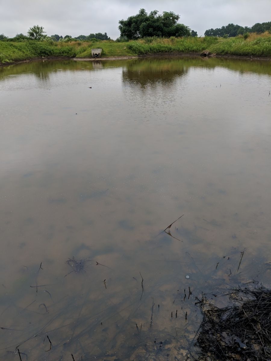 retention pond