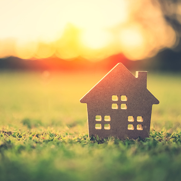 model home on green grass with sunlight abstract background. Vintage tone filter effect color style.