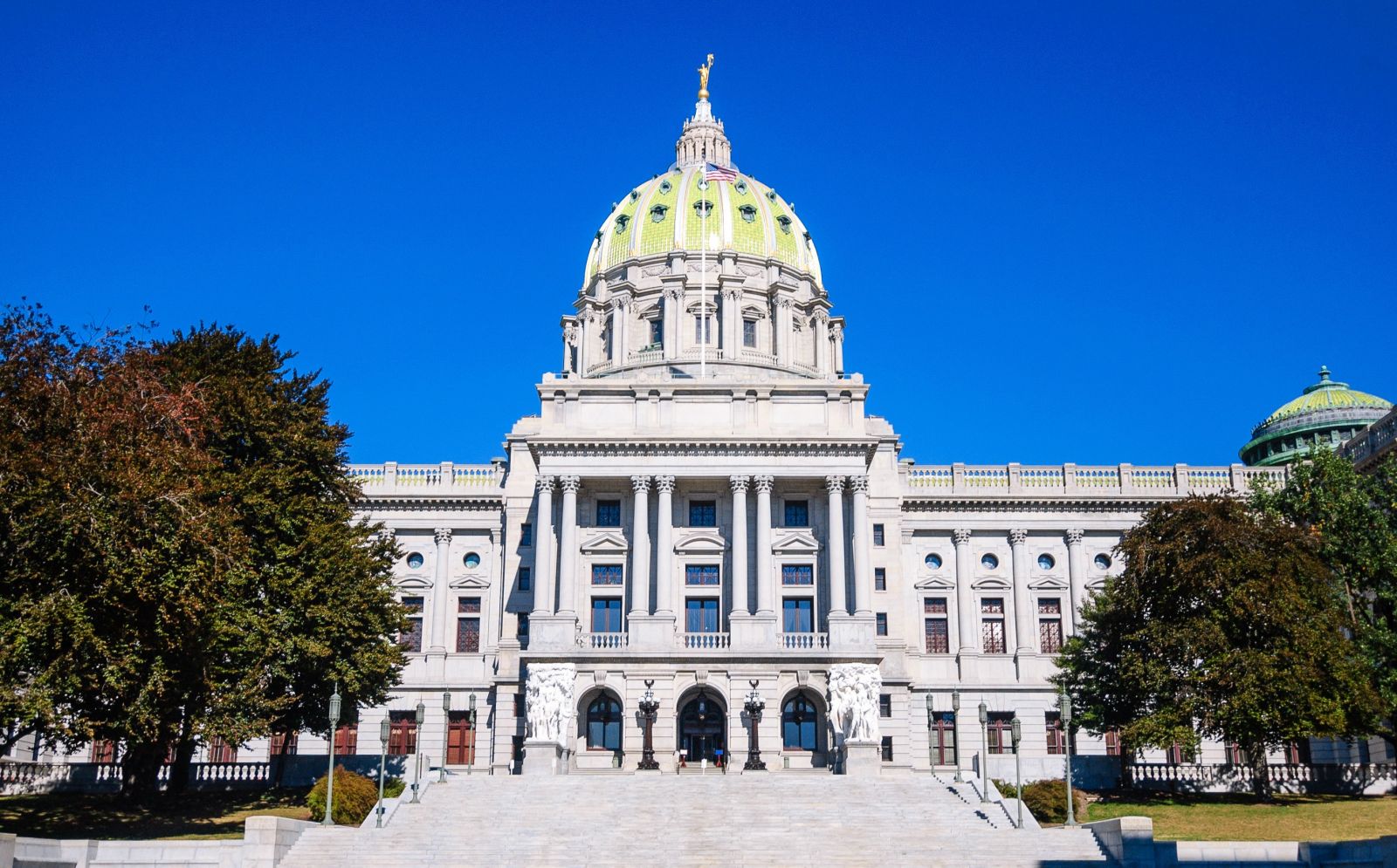 Front view of a grand building with a green-domed roof, white stone facade, steps leading up, and trees flanking each side under a clear blue sky.