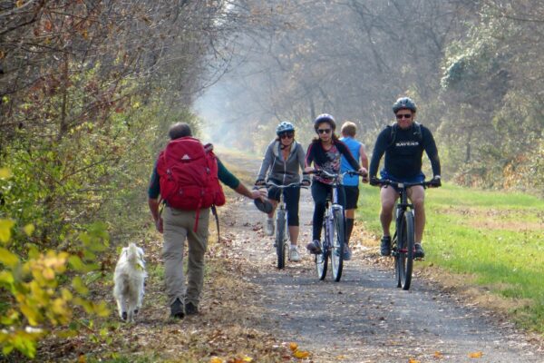 People biking and walking on a wooded path with a dog, surrounded by autumn foliage.