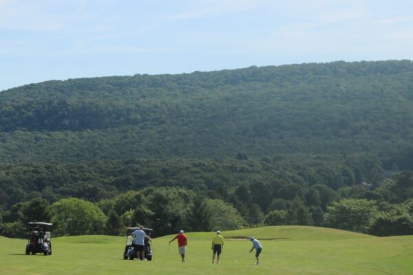 Four people on a golf course, with golf carts nearby, surrounded by green hills and a clear sky.